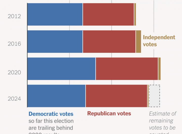 Voter Turnout Figures Have Set Off Conspiracy Theories on the Left and Right