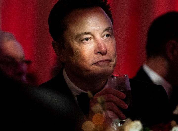 Elon Musk Gets a Crash Course in How Trumpworld Works